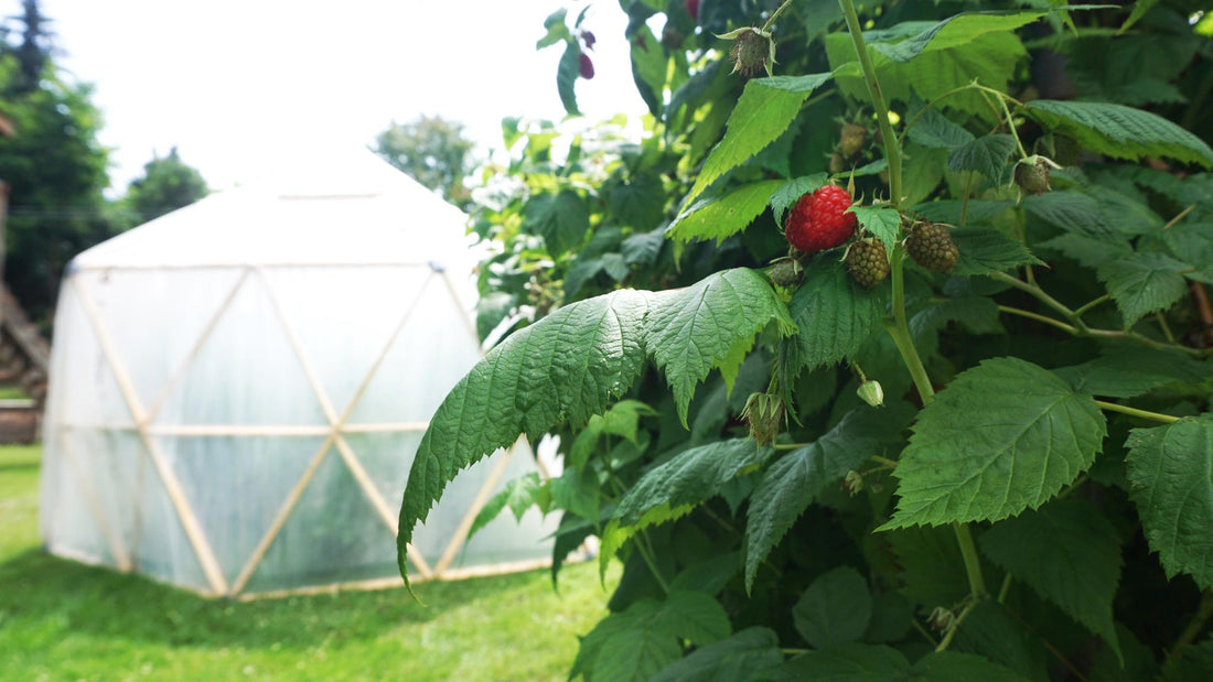 Magidome Geodesic Dome Connectors make building a geodesic dome easy, fun and affordable. Build a diy yurt, greenhouse, chicken coop, festival tent, hunting blind, trellis, gazebo, pergola, fort, shelter, shed, stage, meditation yoga dome!